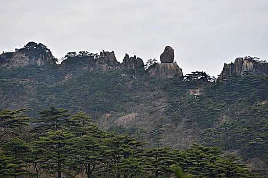 soi cau lo kep 247