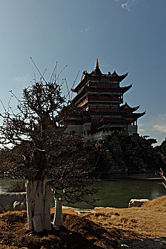 số gia lai