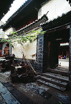 soi câu 247