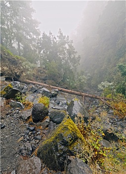 sun pazuru