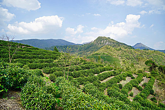 chốt lô