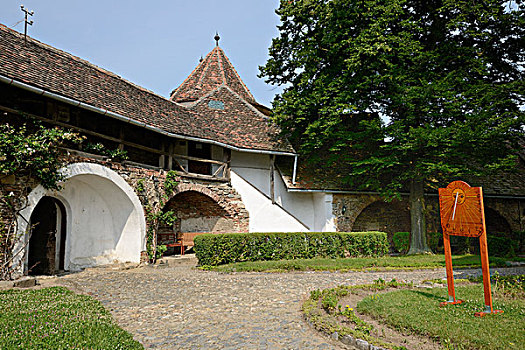 soi cau lo kep ngay hom nay