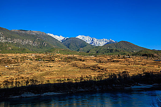 soi cau lo kep hom nay