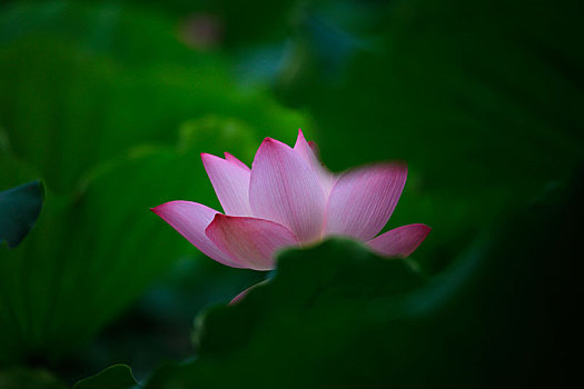 xo so thu hai