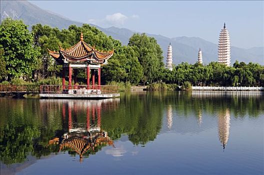 bạch thủ lô miền bắc