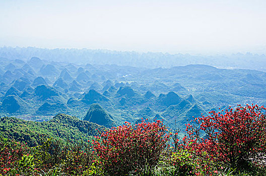 thống kê xổ số cần thơ