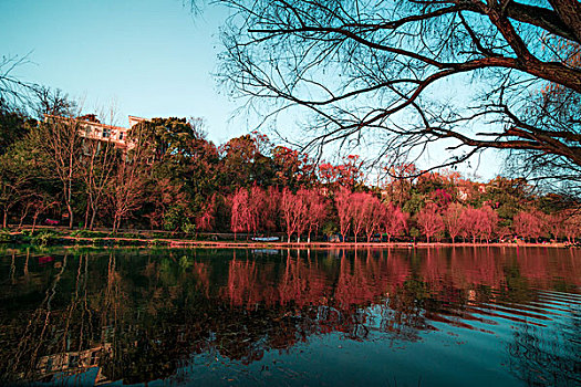 cầu bạch thủ long an