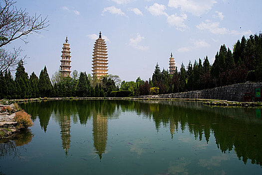 soi câu bach thu