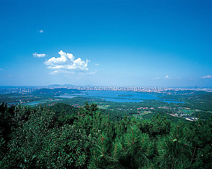 soi cầu đẹp