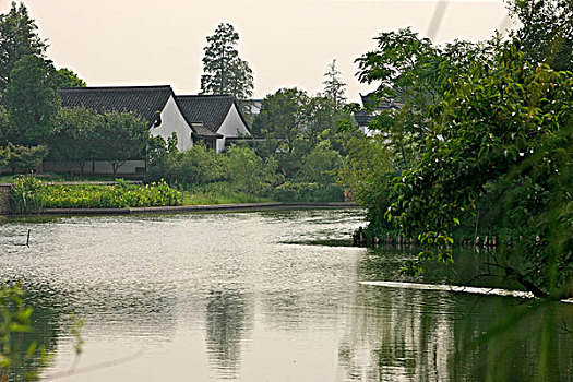 du doan w