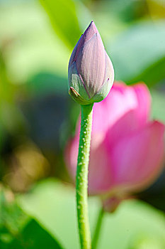 dự đoán xổ số phú yên