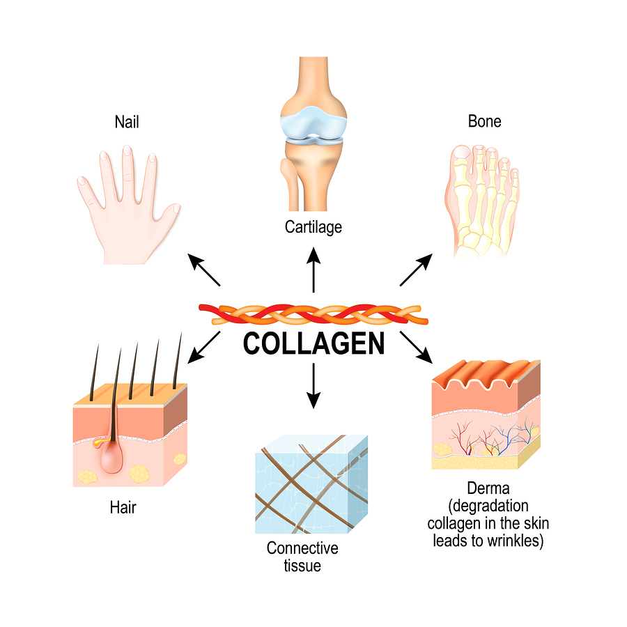 cong-dung-cua-collagen