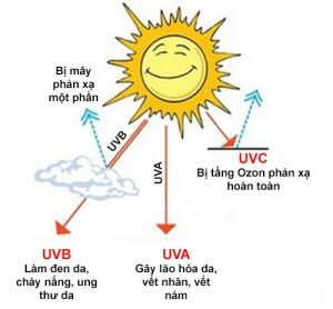 Bảo vệ làn da trước tác hại của tia UV